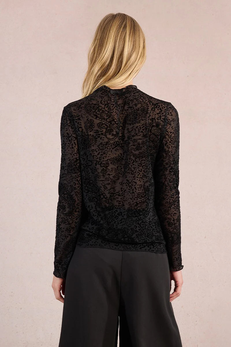 Tala - Blak Sheer Lace