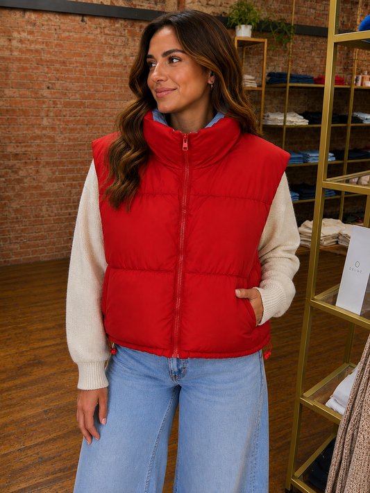 Gallagher Reversible Vest - Blue/Red